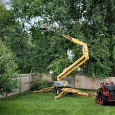 Best Tree Risk Assessment  in St Paul Park, MN